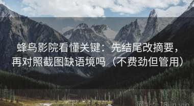 蜂鸟影院看懂关键：先结尾改摘要，再对照截图缺语境吗（不费劲但管用）